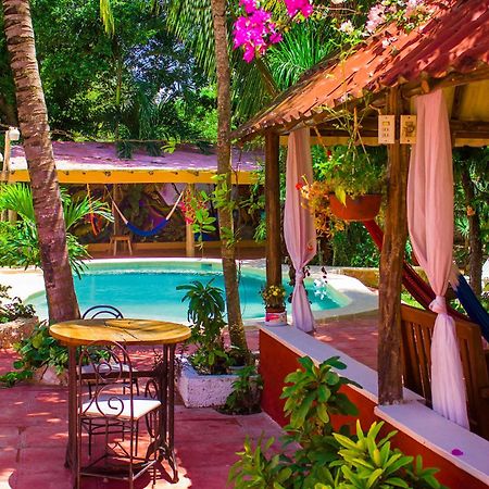 Casa De Los Pajaros - B&B Valladolid  Ngoại thất bức ảnh