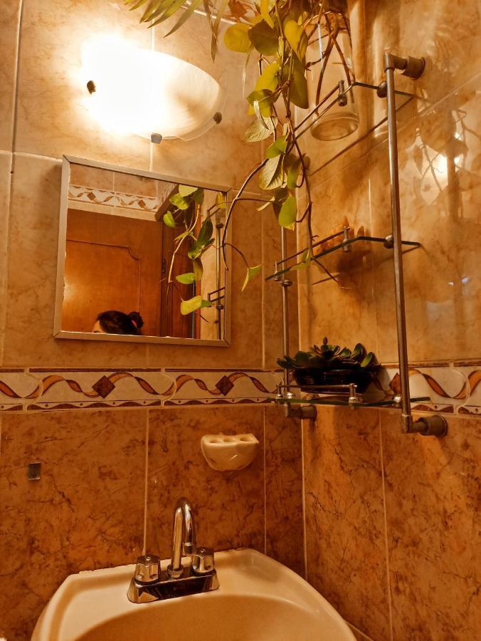 Casa De Los Pajaros - B&B Valladolid  Ngoại thất bức ảnh
