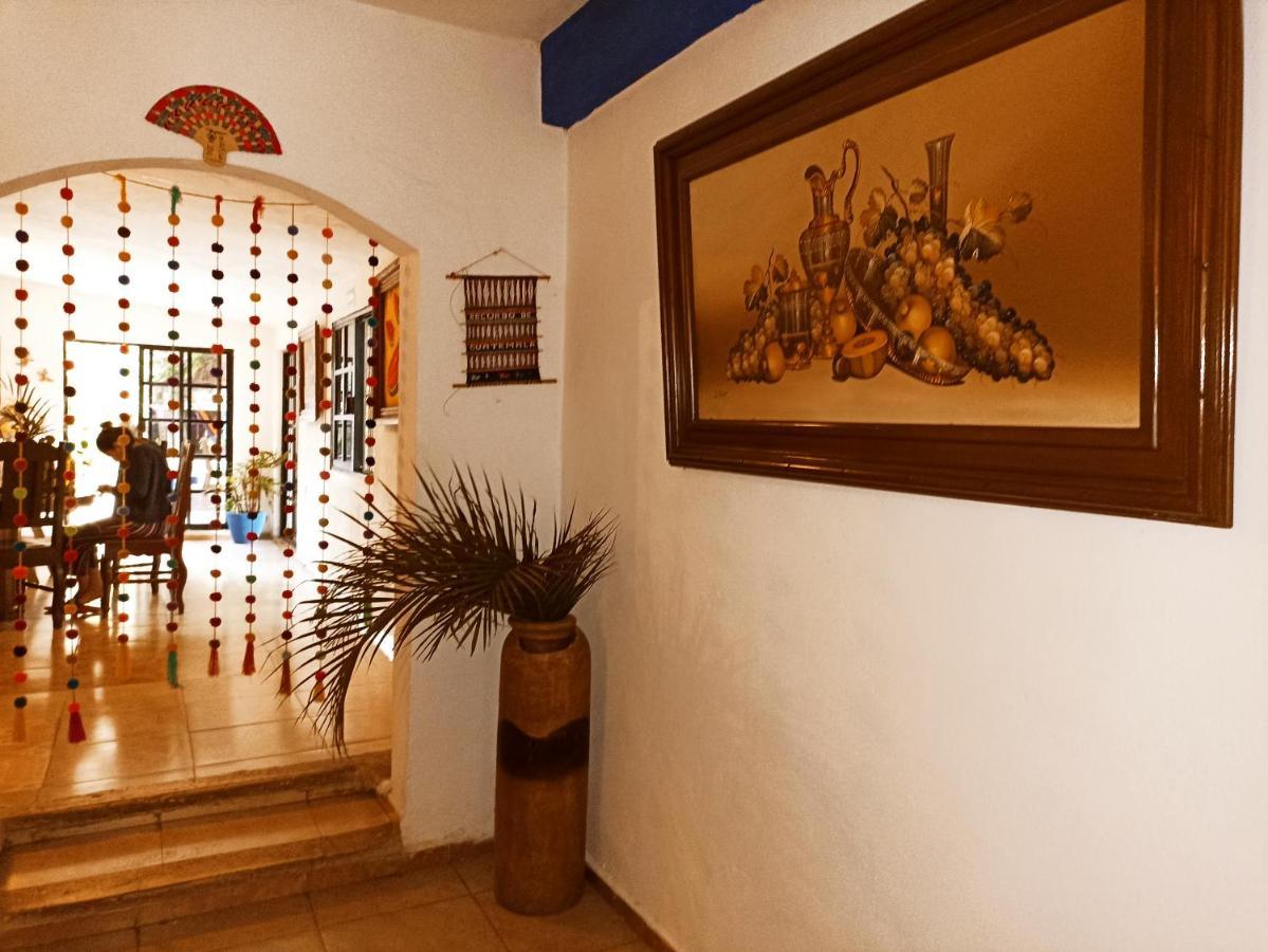 Casa De Los Pajaros - B&B Valladolid  Ngoại thất bức ảnh