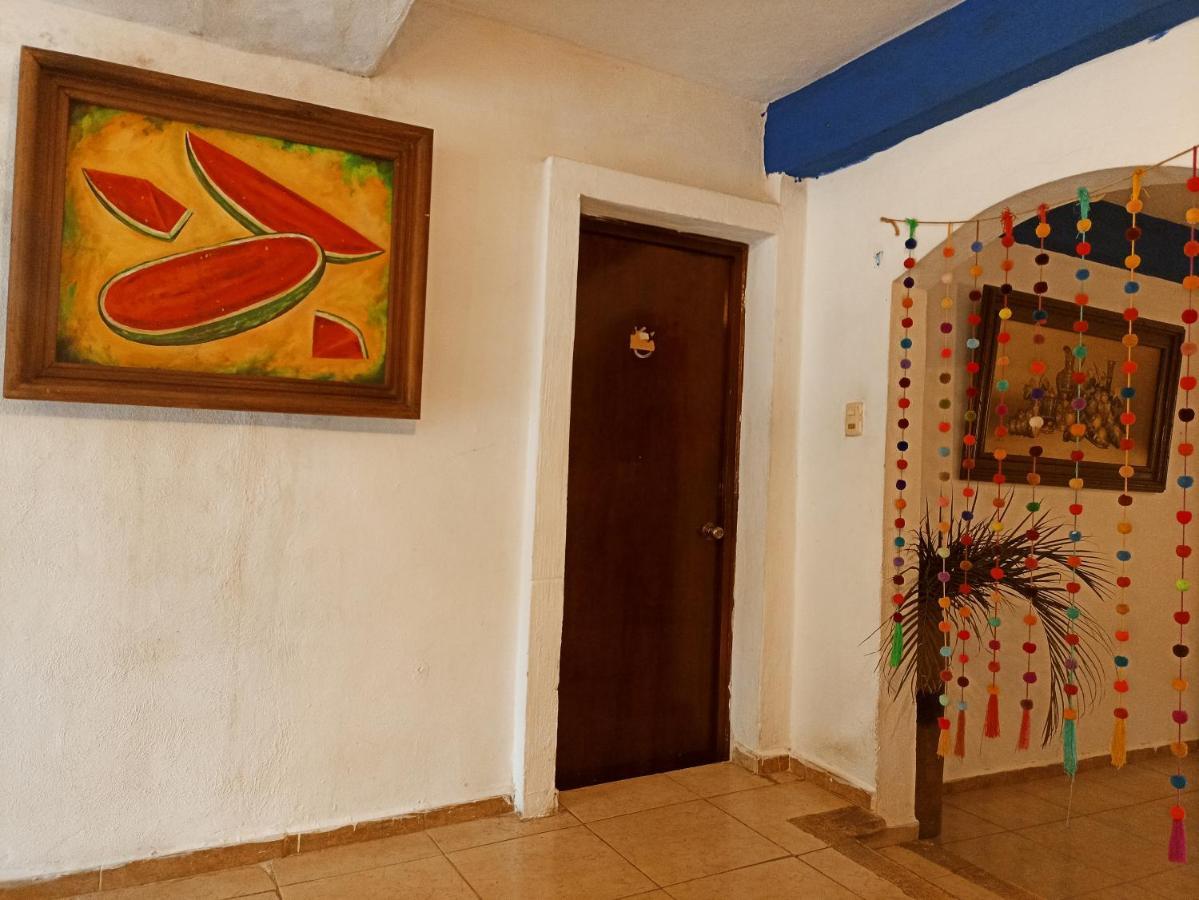 Casa De Los Pajaros - B&B Valladolid  Ngoại thất bức ảnh