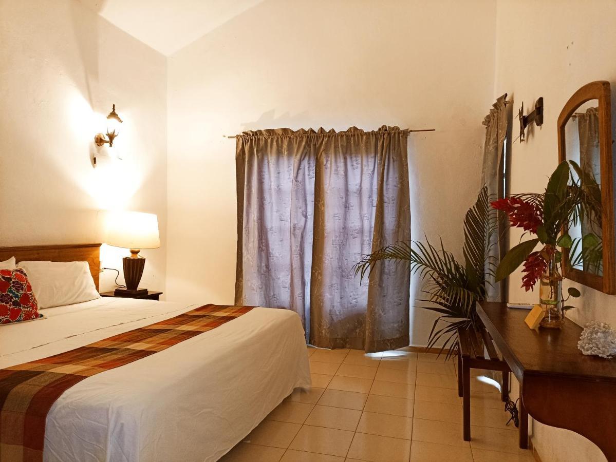Casa De Los Pajaros - B&B Valladolid  Ngoại thất bức ảnh
