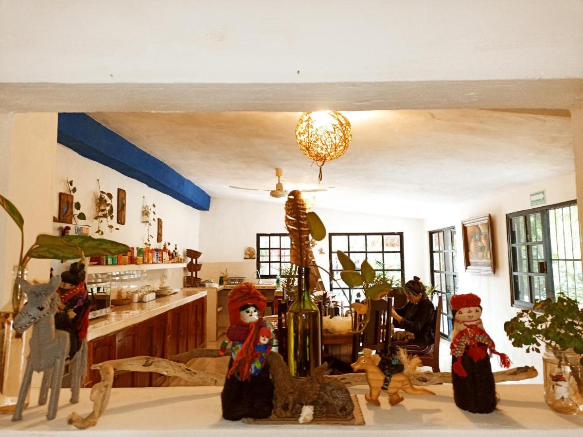 Casa De Los Pajaros - B&B Valladolid  Ngoại thất bức ảnh