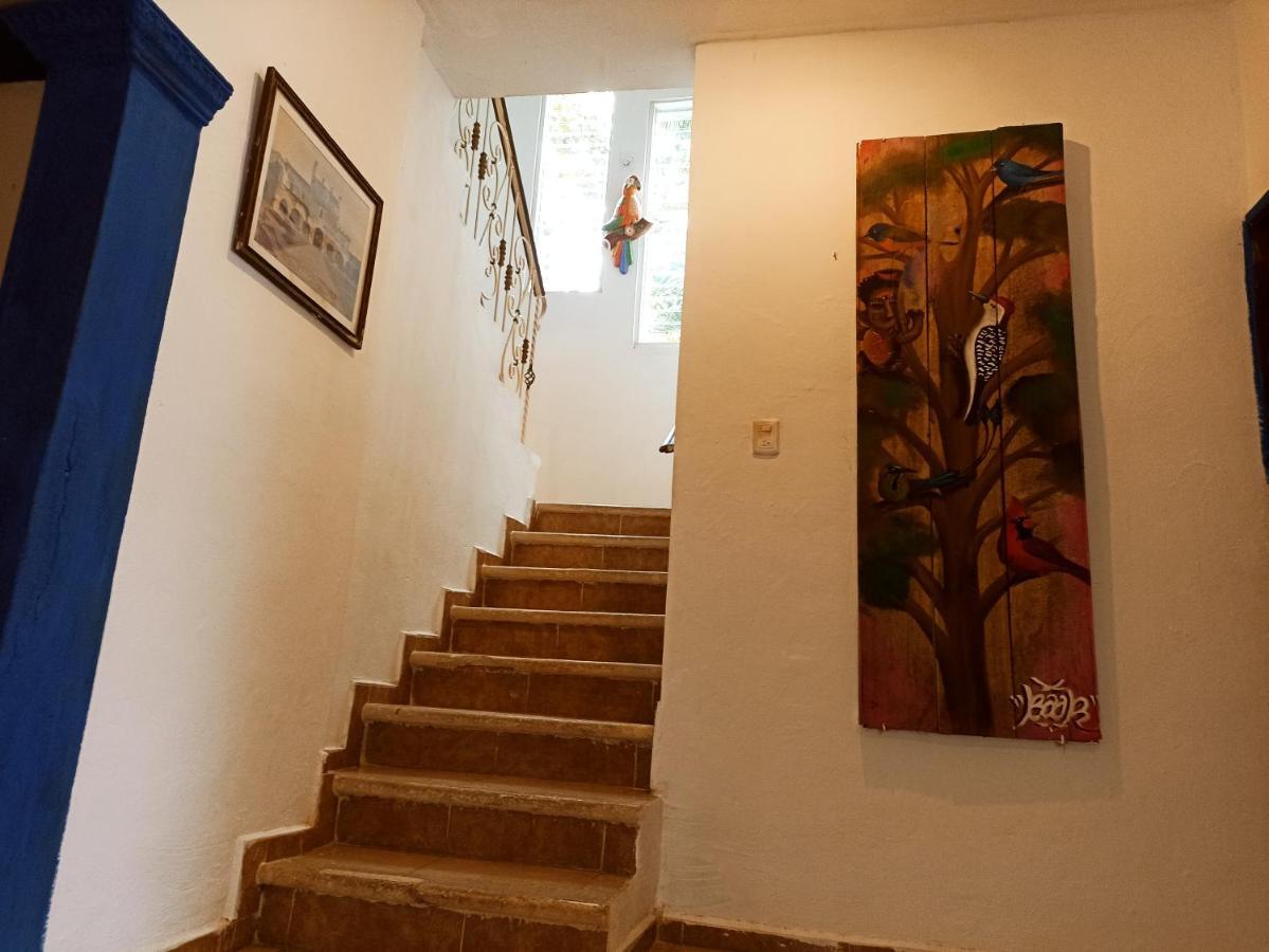 Casa De Los Pajaros - B&B Valladolid  Ngoại thất bức ảnh