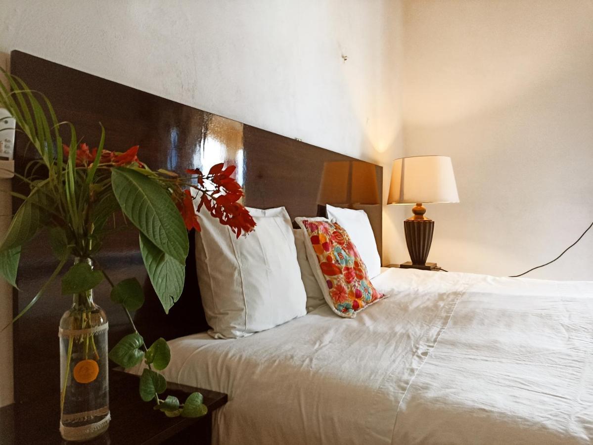 Casa De Los Pajaros - B&B Valladolid  Ngoại thất bức ảnh