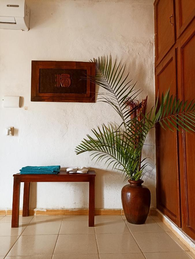Casa De Los Pajaros - B&B Valladolid  Ngoại thất bức ảnh