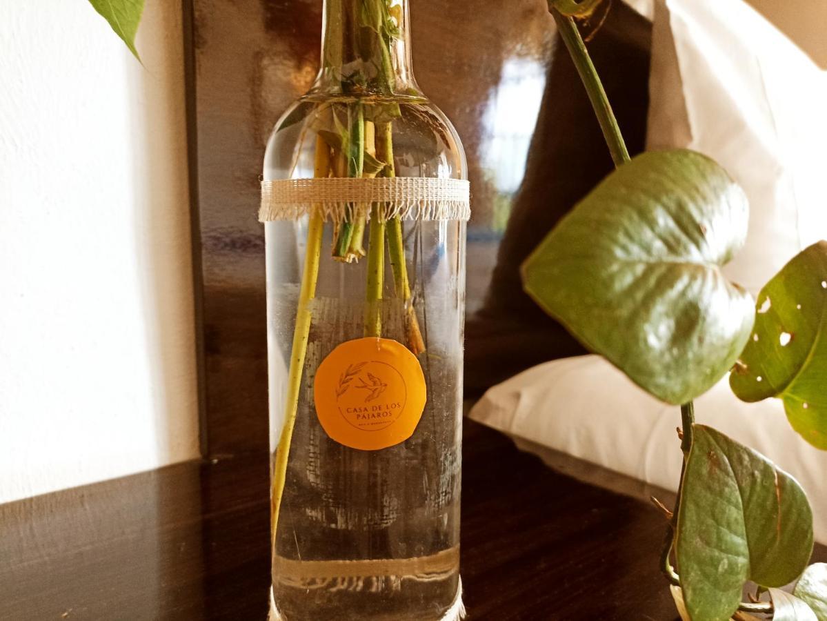Casa De Los Pajaros - B&B Valladolid  Ngoại thất bức ảnh