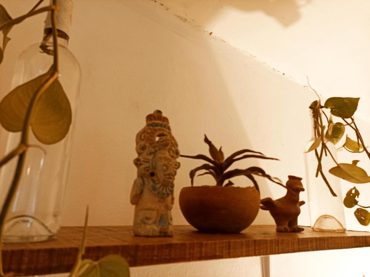 Casa De Los Pajaros - B&B Valladolid  Ngoại thất bức ảnh