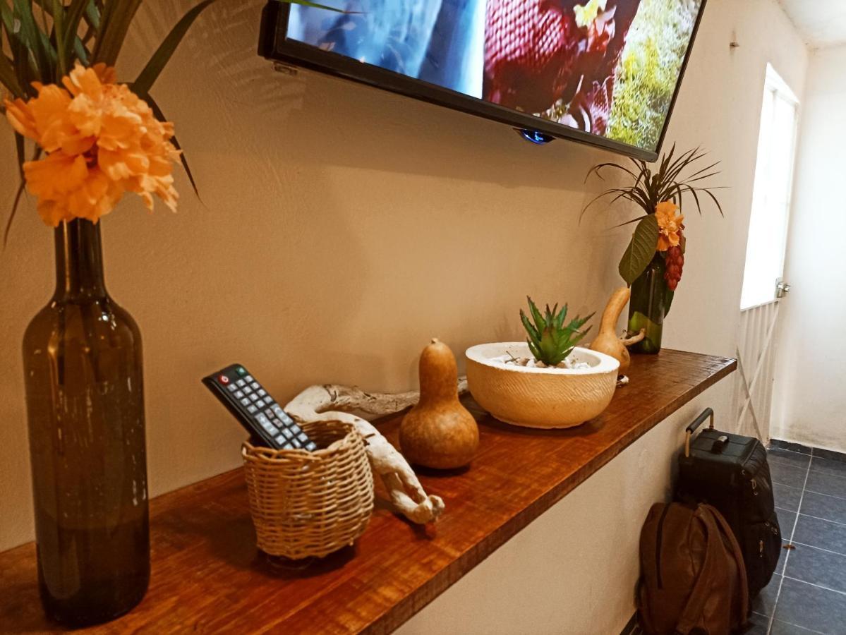 Casa De Los Pajaros - B&B Valladolid  Ngoại thất bức ảnh