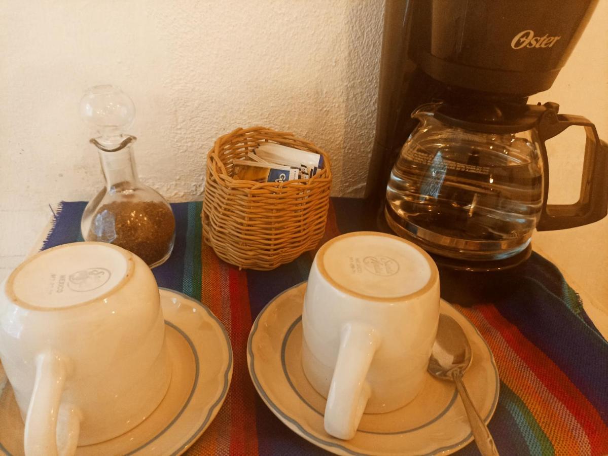 Casa De Los Pajaros - B&B Valladolid  Ngoại thất bức ảnh