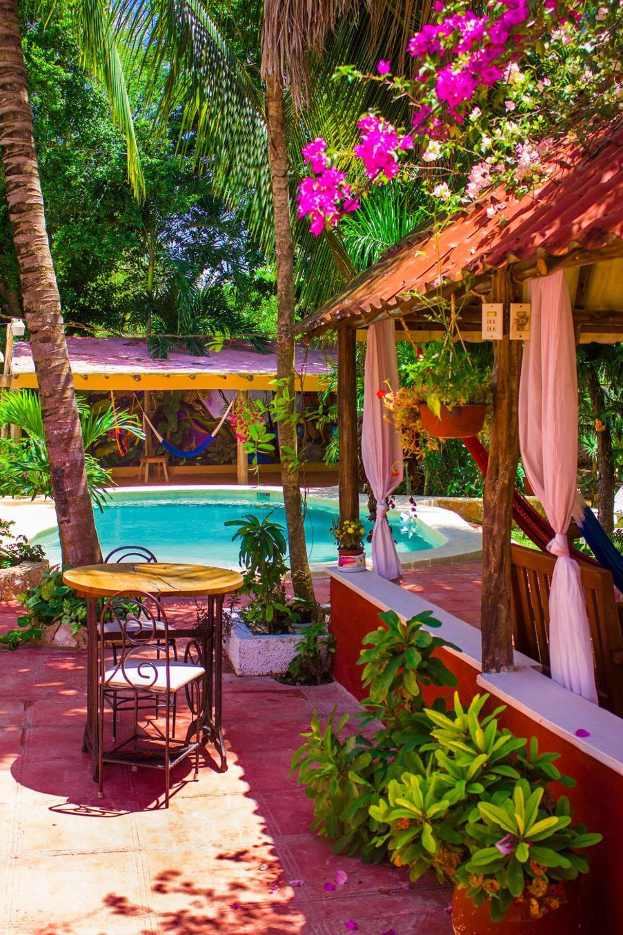 Casa De Los Pajaros - B&B Valladolid  Ngoại thất bức ảnh