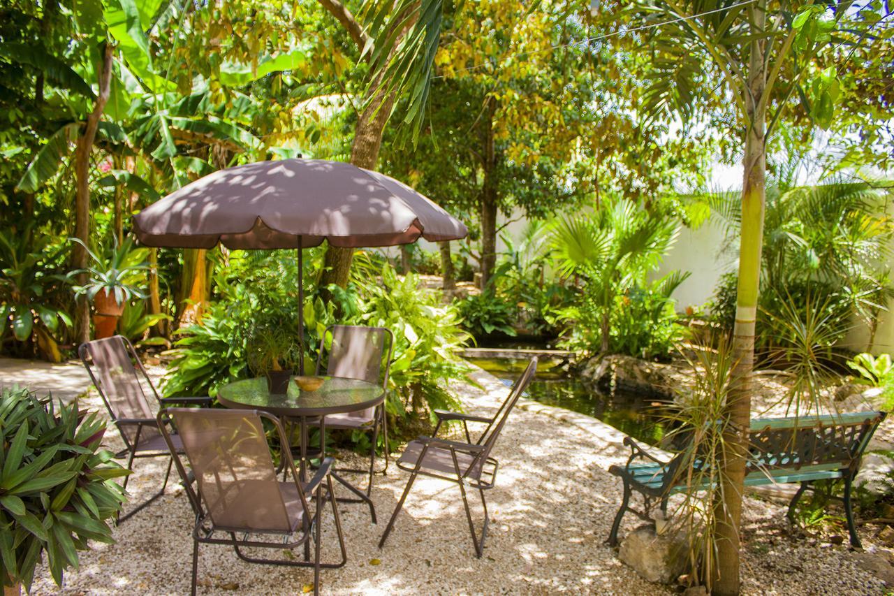 Casa De Los Pajaros - B&B Valladolid  Ngoại thất bức ảnh