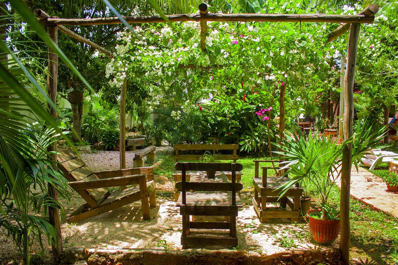 Casa De Los Pajaros - B&B Valladolid  Ngoại thất bức ảnh