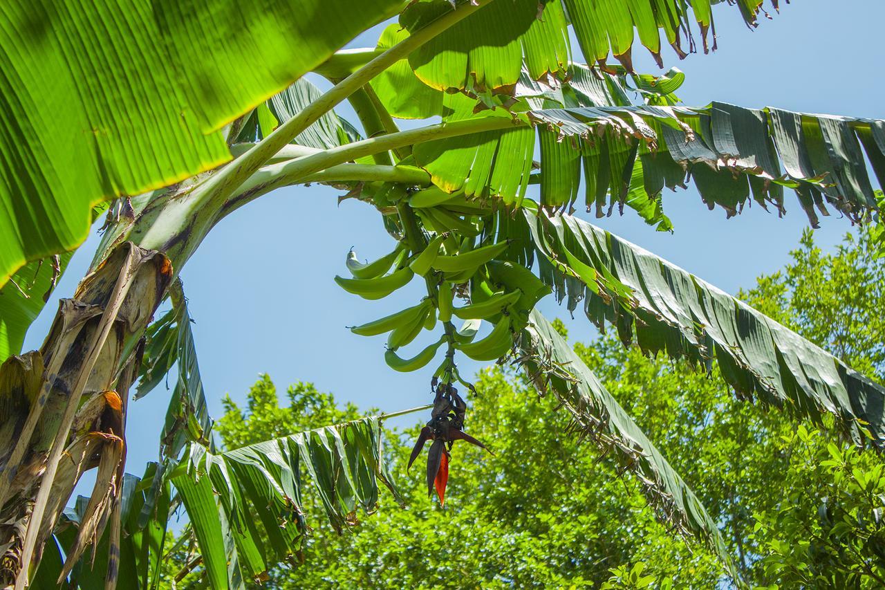 Casa De Los Pajaros - B&B Valladolid  Ngoại thất bức ảnh