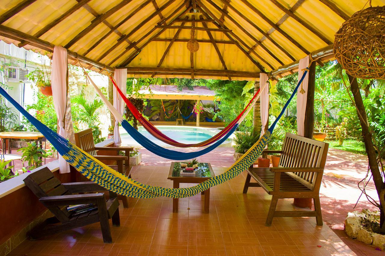 Casa De Los Pajaros - B&B Valladolid  Ngoại thất bức ảnh