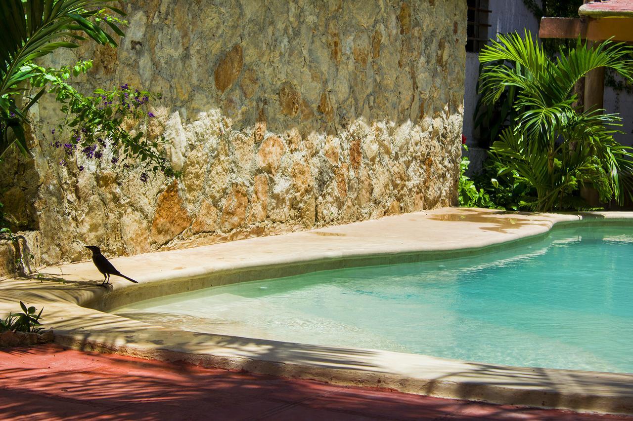 Casa De Los Pajaros - B&B Valladolid  Ngoại thất bức ảnh