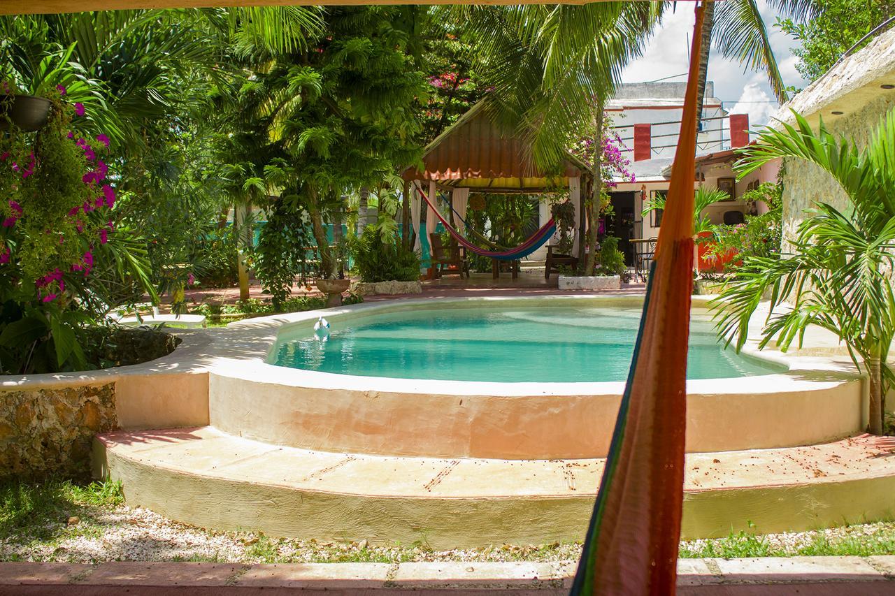 Casa De Los Pajaros - B&B Valladolid  Ngoại thất bức ảnh