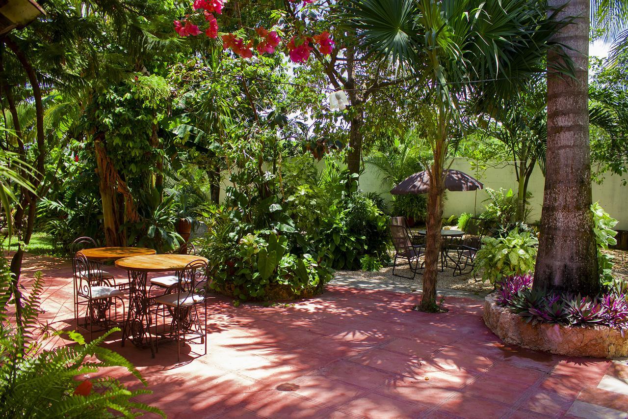 Casa De Los Pajaros - B&B Valladolid  Ngoại thất bức ảnh