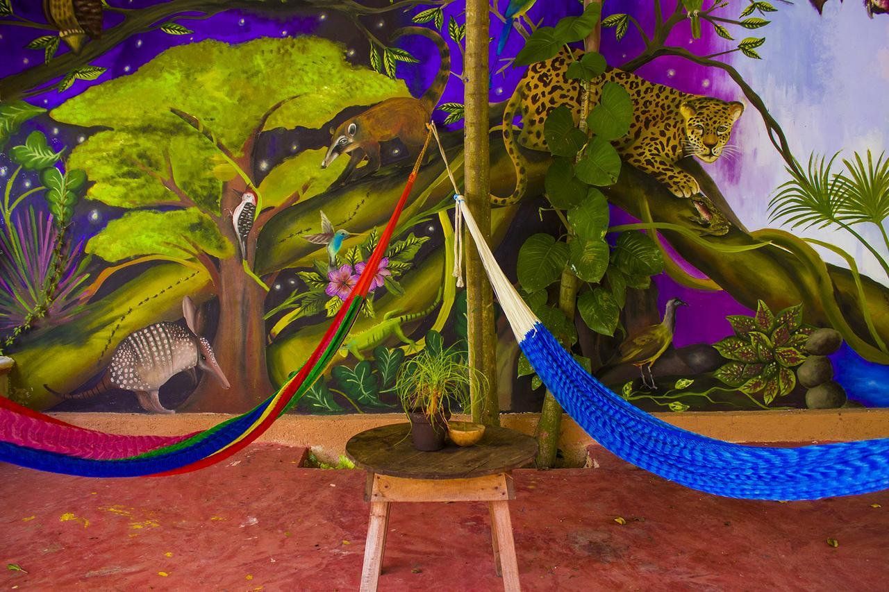 Casa De Los Pajaros - B&B Valladolid  Ngoại thất bức ảnh