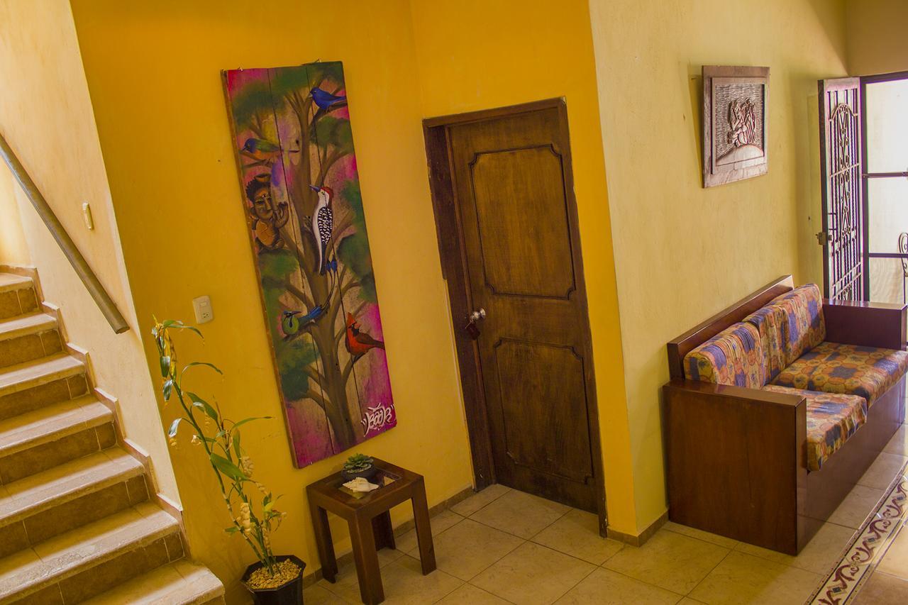 Casa De Los Pajaros - B&B Valladolid  Ngoại thất bức ảnh