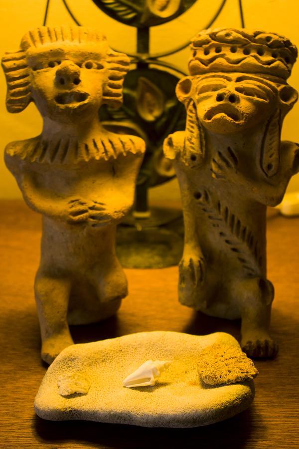 Casa De Los Pajaros - B&B Valladolid  Ngoại thất bức ảnh