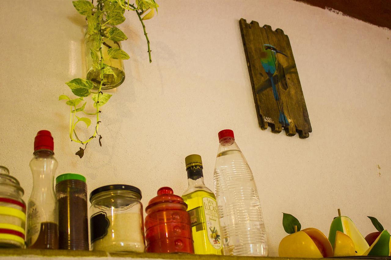 Casa De Los Pajaros - B&B Valladolid  Ngoại thất bức ảnh