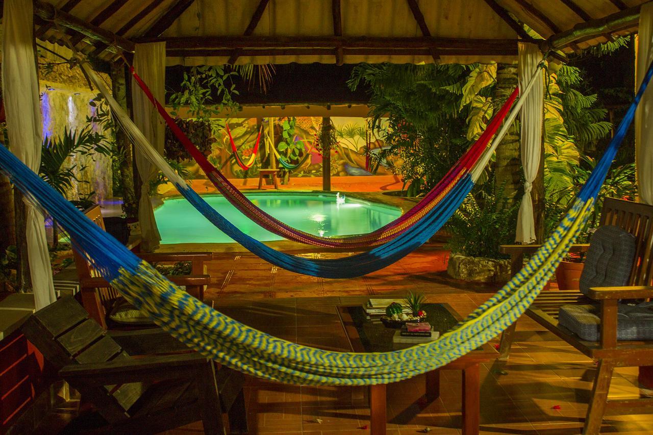 Casa De Los Pajaros - B&B Valladolid  Ngoại thất bức ảnh